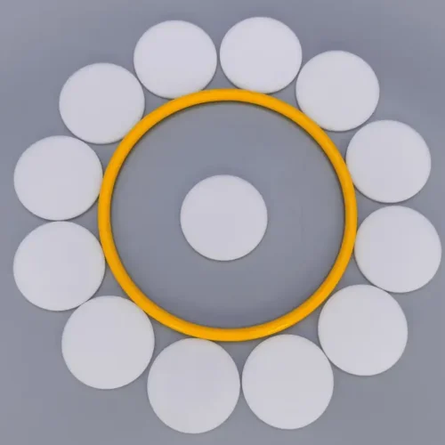 Medical Industry Sintered 60um Polyethylene Porous Filter Disc Medical Industry Sintered 60um Polyethylene Porous Filter Disc