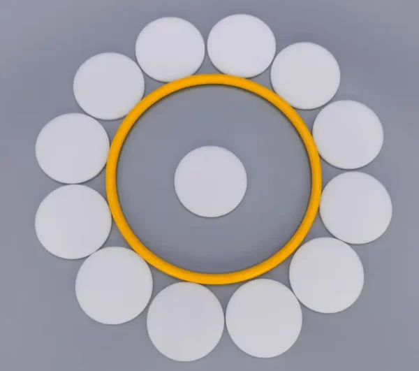 Medical Industry Sintered 60um Polyethylene Porous Filter Disc