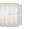 Pleated Water Filter Cartridge (2) Pleated Water Filter Cartridge (2)